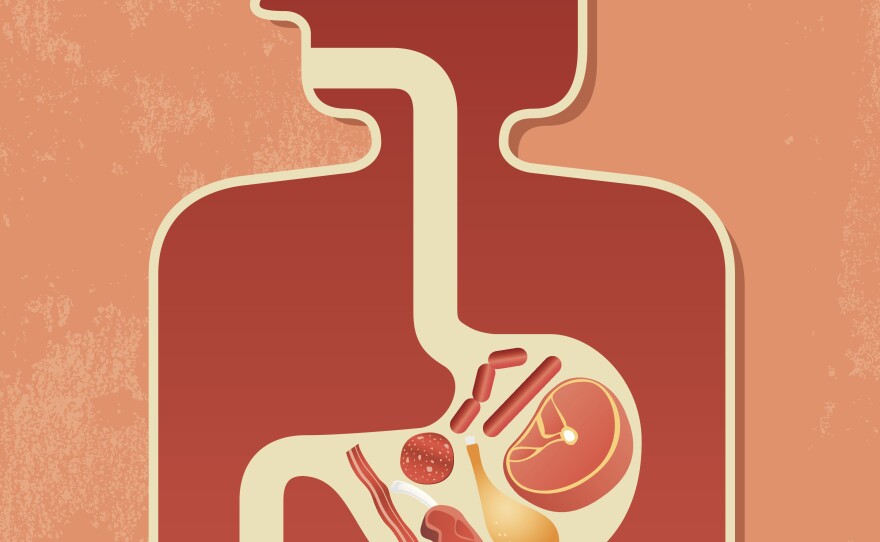 A small new study shows that successful dieters had an abundance of a bacteria called Phascolarctobacterium, whereas another bacteria, Dialister, was associated with a failure to lose weight.