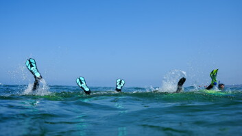 Shark Snorkels