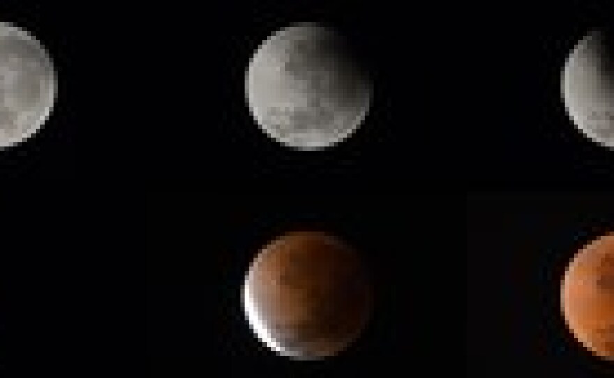 These six pictures show the phases of the moon during Tuesday's lunar eclipse. They were taken from Buenos Aires, Argentina.
