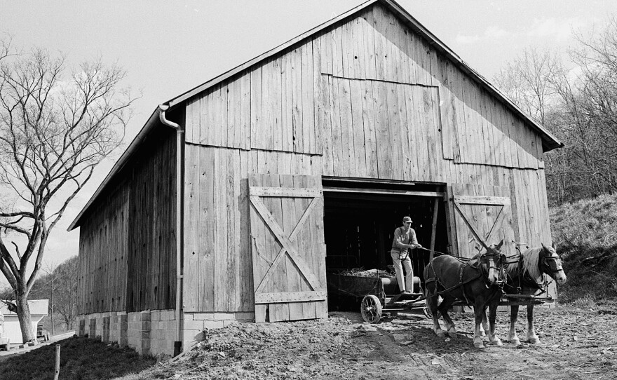 Wendell Berry, America's foremost farmer-philosopher, with horses on his farm.