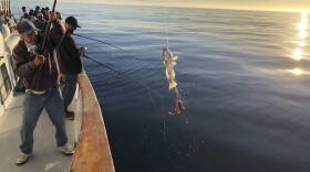 This photo provided by the California Department of Fish and Wildlife shows California state officials fishing to get samples they can test to determine if it is safe to resume fishing off the coast of California, Thursday, Oct. 28, 2021.