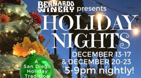 Holiday Nights