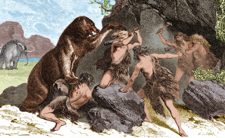 An illustration from 1870 shows Prehistoric men using wooden clubs and stone axe to fend off an attacks by a large cave bear. The cave bear (Ursus spelaeus) was a species of bear that lived in Europe during the Pleistocene and became extinct at the beginning of the Last Glacial Maximum, about 27,500 years ago. Mammoths can be seen in the background.