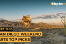 Rebecca Webb photograph Sept. 17-20 San Diego Weekend Arts Top Picks