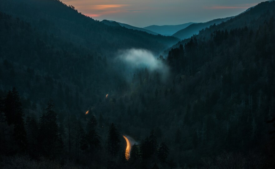 Many dead hemlock trees can be seen from an overlook at Great Smoky Mountains National Park on its Tennessee side.