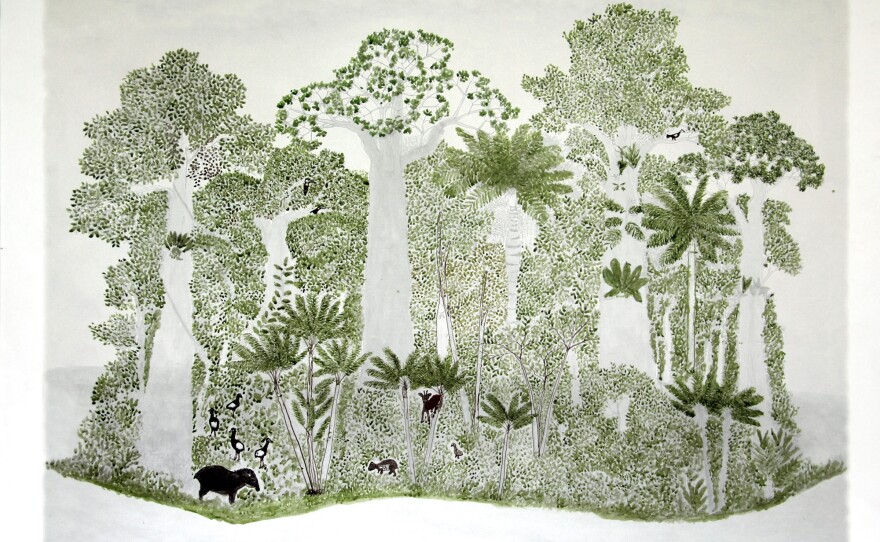 In each of Rodriguez's rain forest drawings, the vegetation and animal life is a little different, reflecting the season.<strong> </strong>