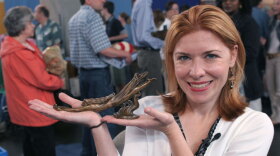 At "Antiques Roadshow" in Providence, Rhode Island, appraiser Eric Silver of Lillian Nassau, New York, spots this bronze figure of a woman, dated 1923. Inherited from her father, who collected bronzes, the owner (shown) put the item to good use as a paperweight; she's stunned to learn that the sleek object is actually an automobile hood ornament crafted by renowned American artist Harriet Frishmuth -  a student of Auguste Rodin - valued at $20,000 to $30,000. 