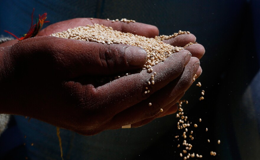 A man holds Peruvian quinoa. New studies of detailed data gathered by Peru's government find that the global quinoa boom really was good both for Peruvians — both those who grow it and those who eat it.