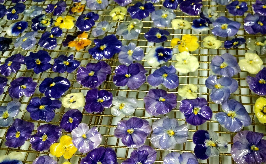 Violas grown on John Clemons' farm are crystallized and glazed. Clemons patented the process to keep the flowers from spoiling.