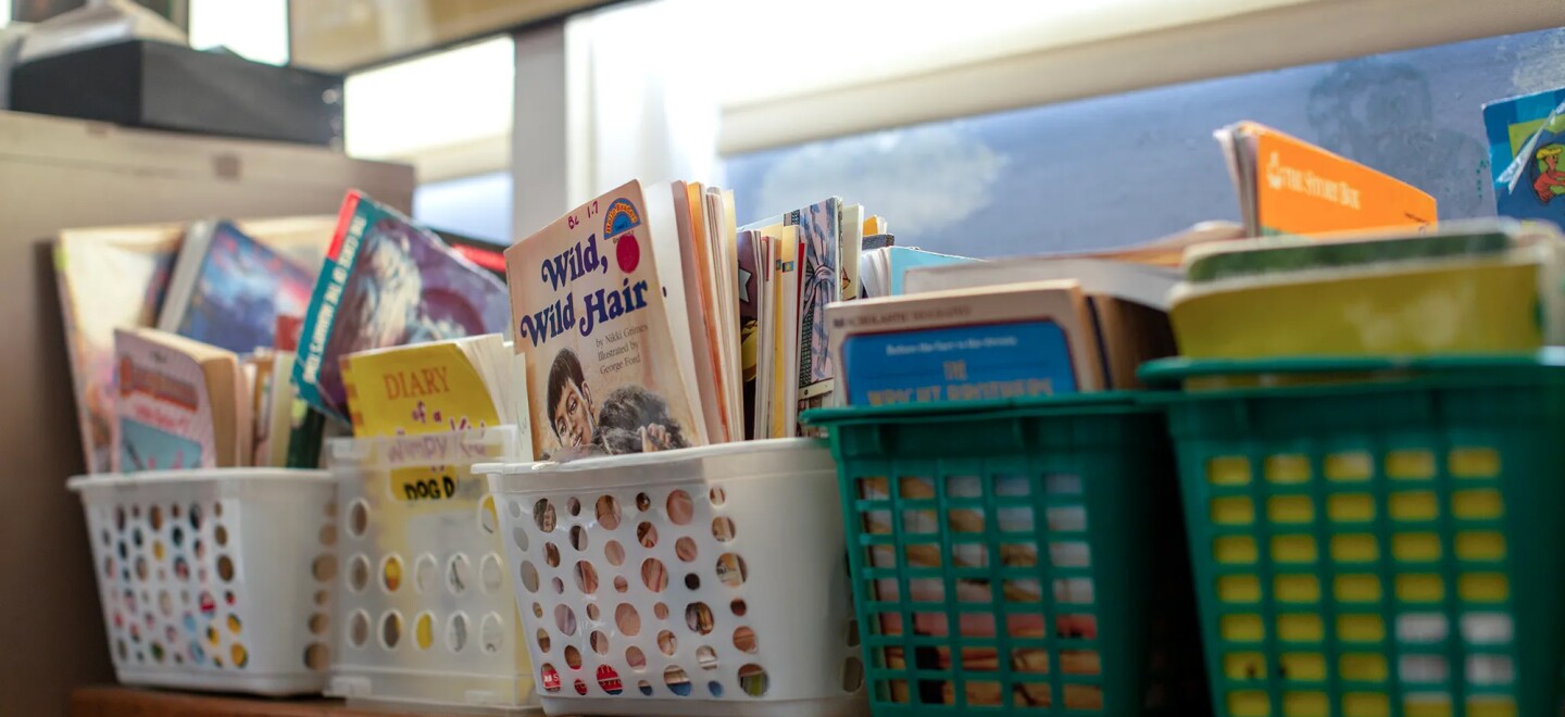 Softbound books and magazines in baskets on a shelf, apparently at an elementary school, with one titled "Wild, Wild Hair"