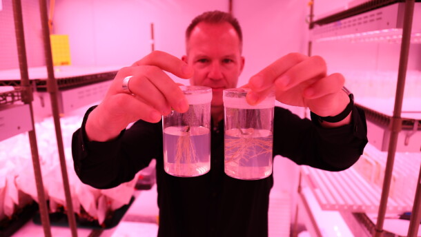 Wolfgang Busch shows how changing soybean genes can help roots grow downward at Salk Insituite on Oct. 5, 2026.