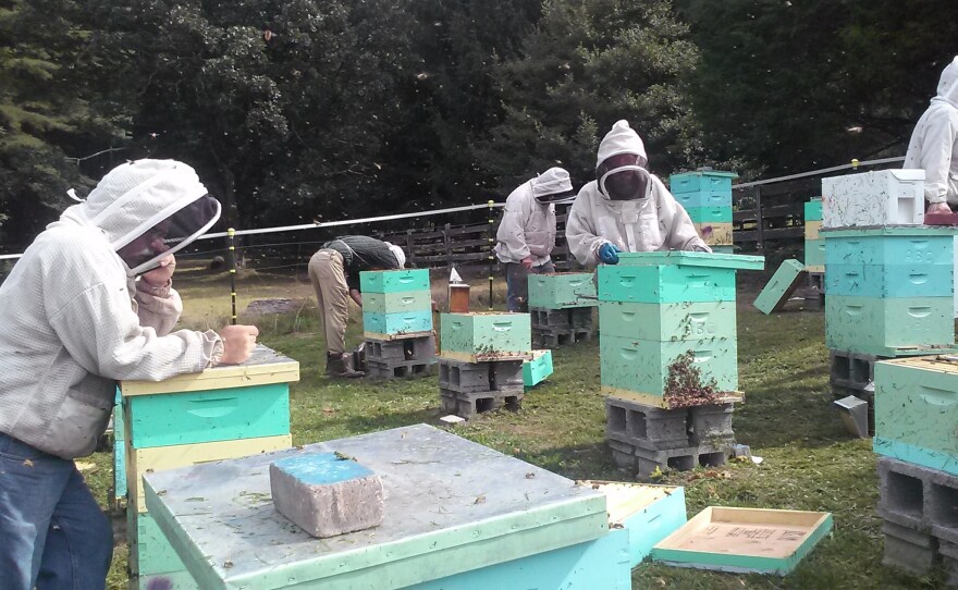 Members of the Appalachian Beekeeping Collective inspect one of their apiaries. The collective teaches displaced coal miners in West Virginia how to keep bees as a way to supplement their income.