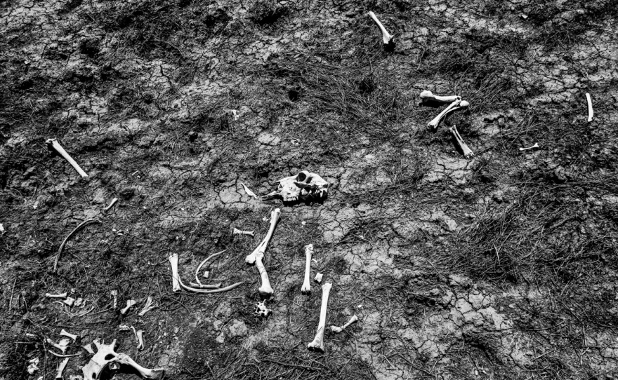 drought-006_custom-0cf8d51872a5a0da6969b0321e1383f6ad7d11ef.jpg