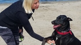 Amy Bjornson and her dog Skyler play at Fiesta Island dog park, March 16, 2018.