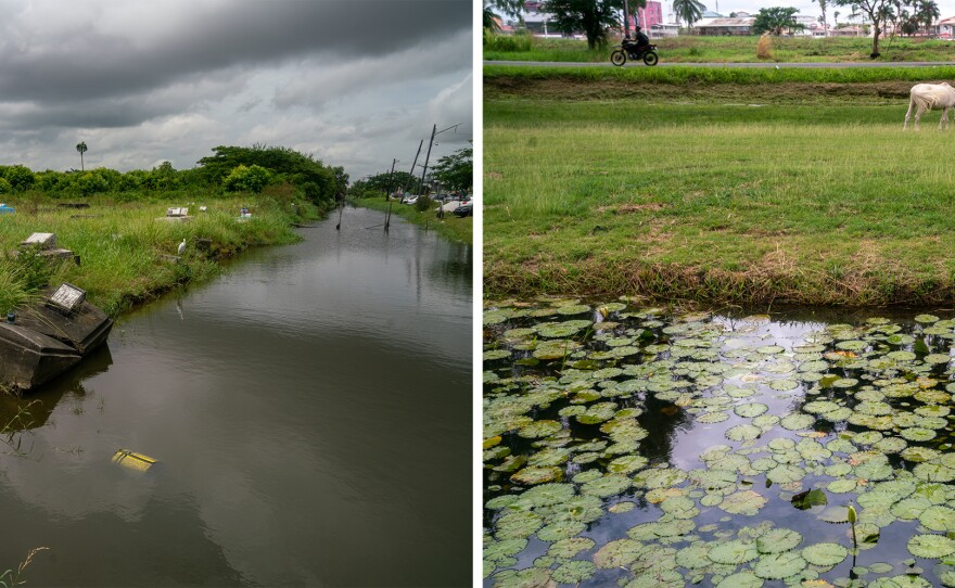 Most of Guyana's population lives below sea level, making water is a part of daily life. In Georgetown, waterways, which frequently overflow, crisscross the city.