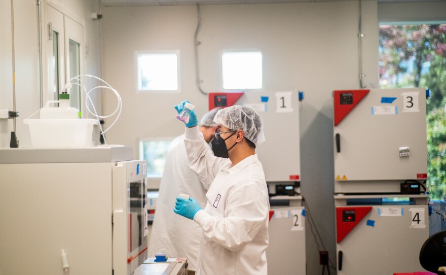 Scientists at Good Meat work on cell cultures which will be used for the company's cultivated meats.