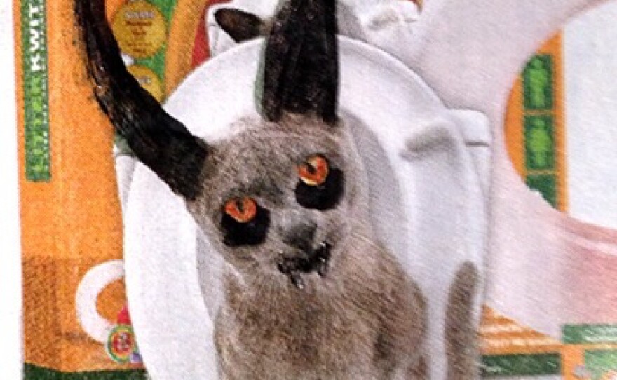 SkyMall art by Kevin and Miles Taylor.