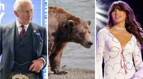 From left: a king, a king of bears, a queen of country.