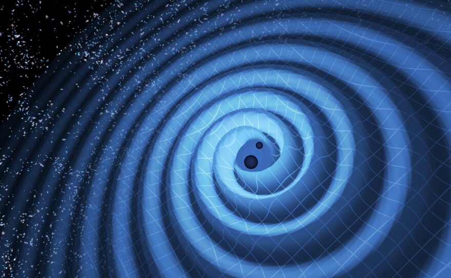 The black holes were 14 and 8 times the mass of the sun. As they spiraled together, they sent out gravitational waves.