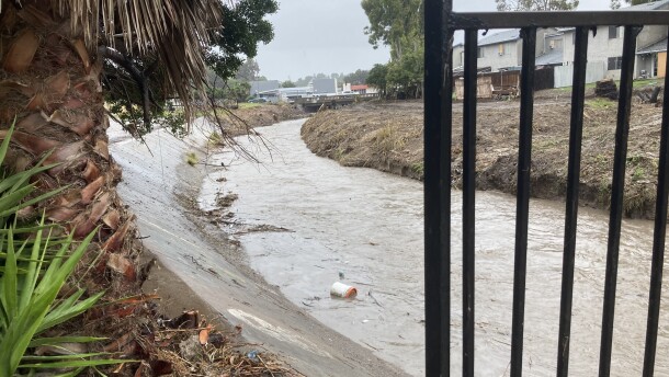 Water flowing down Chollas Creek as rain falls on Feb. 1, 2024.