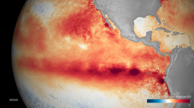 The developing El Niño is on track to become one of the most powerful on record, with water temperatures in the equatorial Pacific Ocean nearly 6 degrees Fahrenheit above average. 