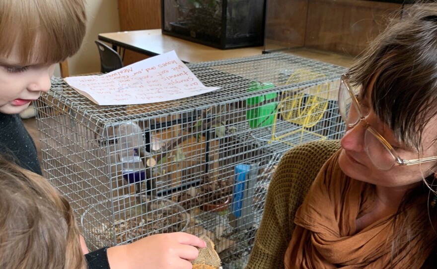 Lainy Morse shows students Wesley Schmidt and Celeste Abraldes a bearded dragon in a photo taken when school was open.