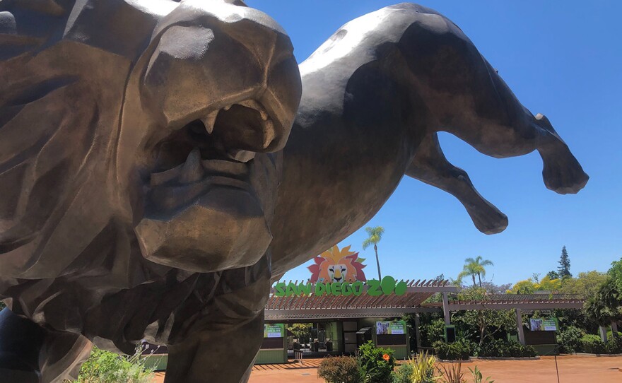 San Diego Zoo Remains Open But Uncertainty Remains Kpbs Public Media