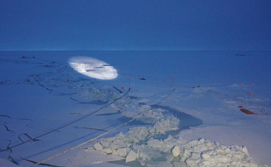 Pressure ridges are created when different segments of ice are pushed together, crumbling up the ice above and below the water.