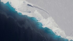 The Thwaites Glacier in Antarctica is pictured in this undated photo. 



