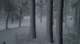 A view of snow blanketing the trees and hillside at the 6,000 foot elevation on Mt. Laguna, taken from the Mount Laguna Retreat Center on Sunrise Highway, on February 20, 2011. 