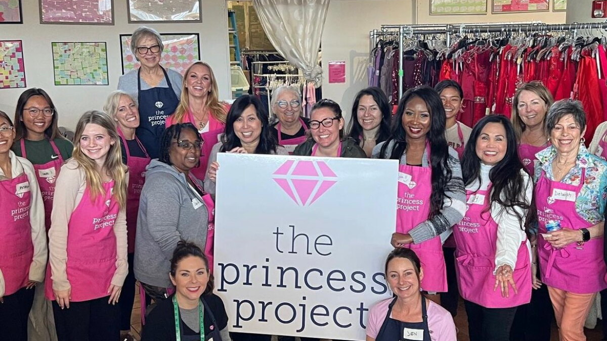 princess project dresses princess project