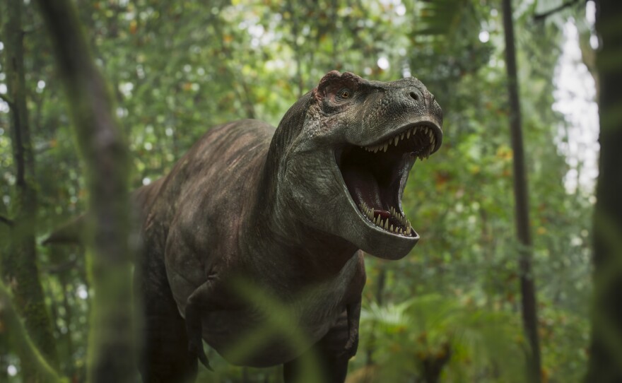 Shows: VFX - Landscape. A Tyrannosaurus rex stalking through forest