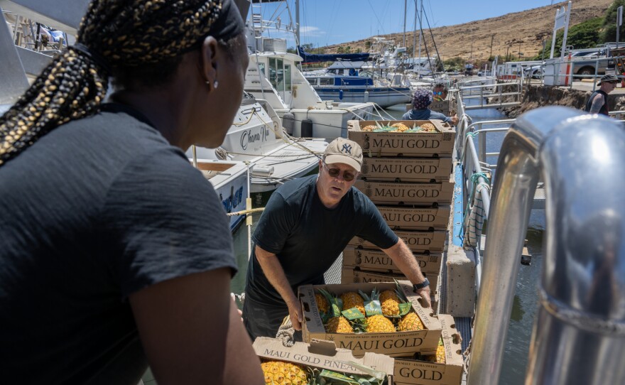 John Picard and his wife Maryam lost their home in Lahaina in the wildfire. They have slept in their vehicle for two nights and have been separated from their 13-year old daughter for 2 days. They are helping load donated pineapples onto Maui Reef Adventures' boat, which will be distributed in Lahaina. Jennifer Kogan, tour operator, offered to give them a ride to be reunited with their daughter.