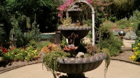 A former fountain with plants in it is shown at the Water Conservation Garden at Cuyamaca College on June 9, 2022.