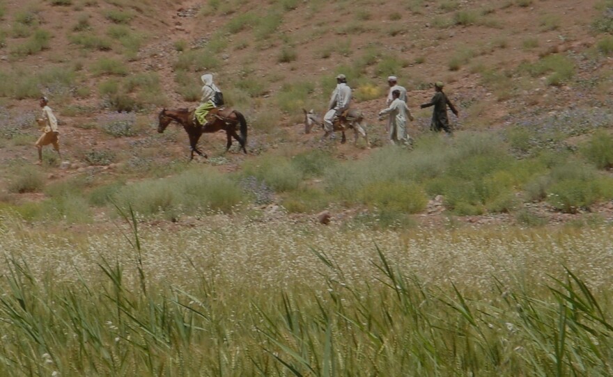 Dana Burde did field work in Afghanistan starting in 2005.