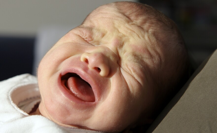 Those lungs were made for screaming: In earliest human times, babies that cried and woke their moms at night had a better chance of surviving and having their own children.