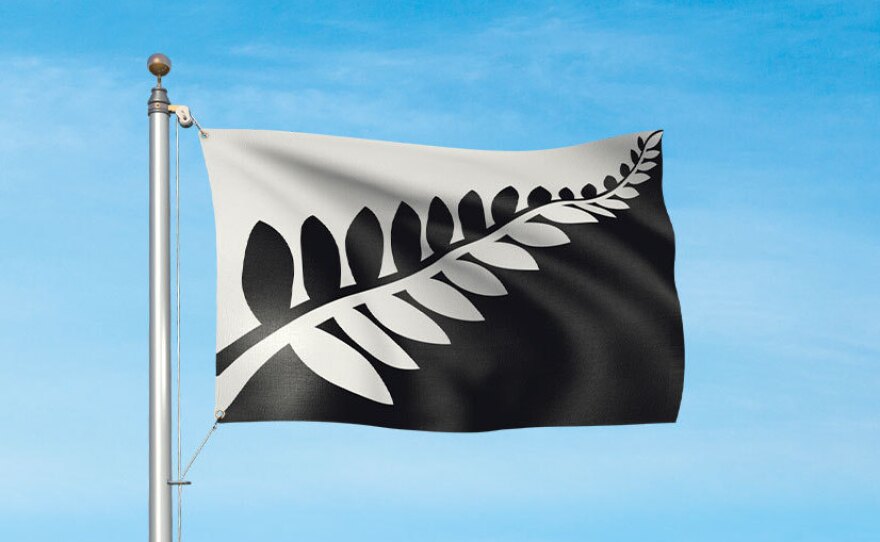The "Silver Fern (Black and White)" design featured, like four of the other finalists, a silver fern. Designer Alofi Kanter described it as "strong and simple."
