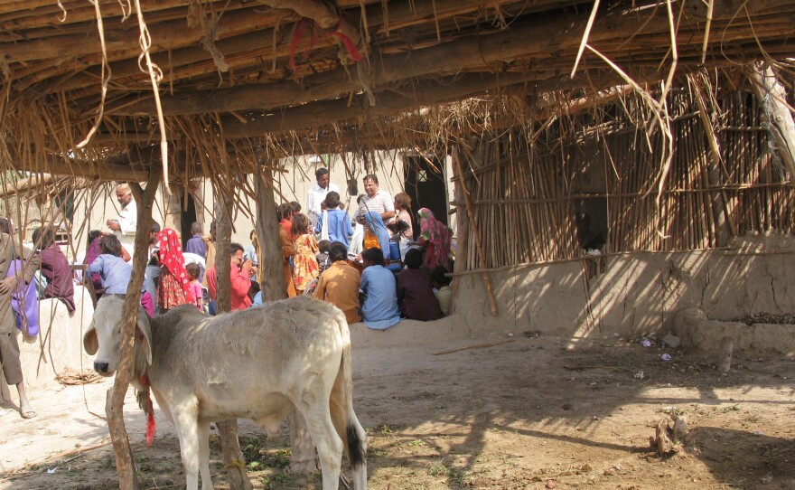 When a class is held in a cowshed, a cow or two will inevitably attend.