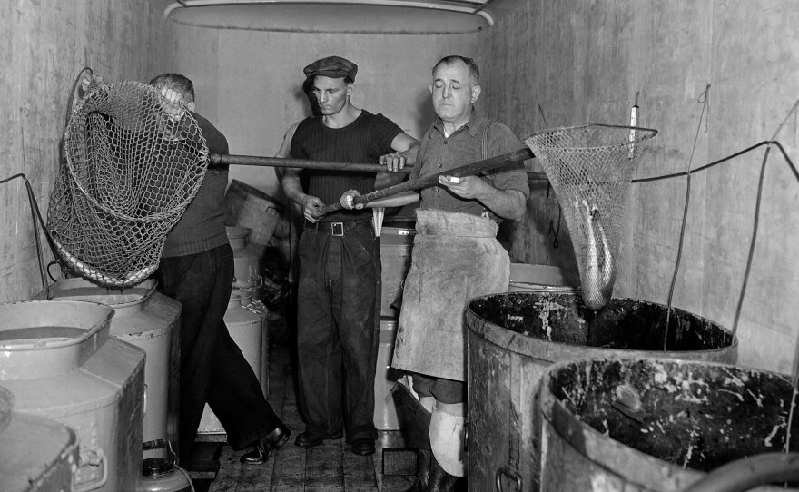 Fish are removed from the New York Aquarium in 1941, which is to be demolished as part of the construction work and improvement for the Battery-Brooklyn Tunnel in New York City.