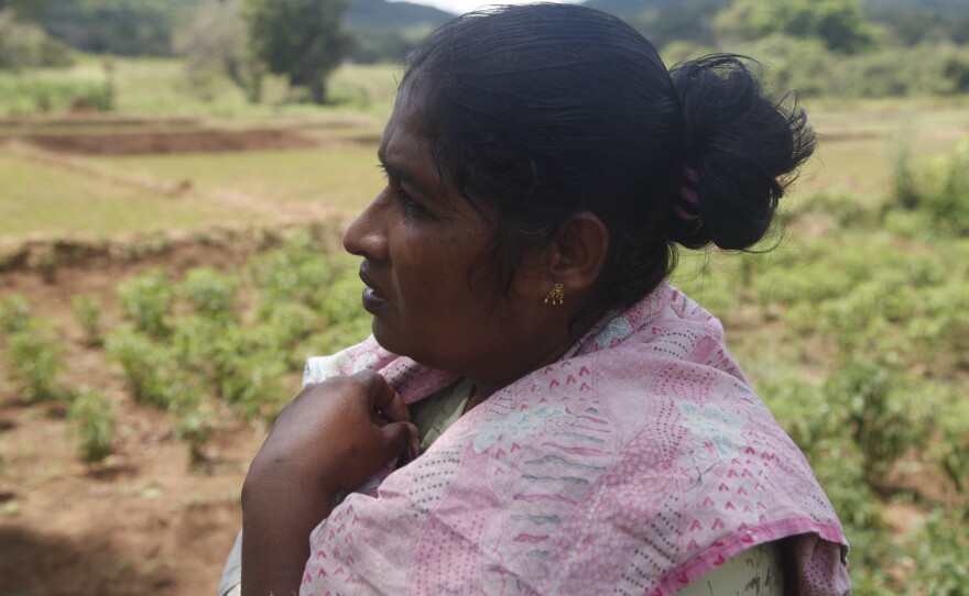 Nita Kumari, a single mother and farmer stands near her field in the village of Dambagulla in central Sri Lanka. Kumari says she's planted only a quarter of her land because she can't afford to pay for farmhands, who have raised their prices because the Mideast war has raised the price of food and transport. Kumari says it now costs $10 for a man, half that for a woman. She doesn't have that kind of money.