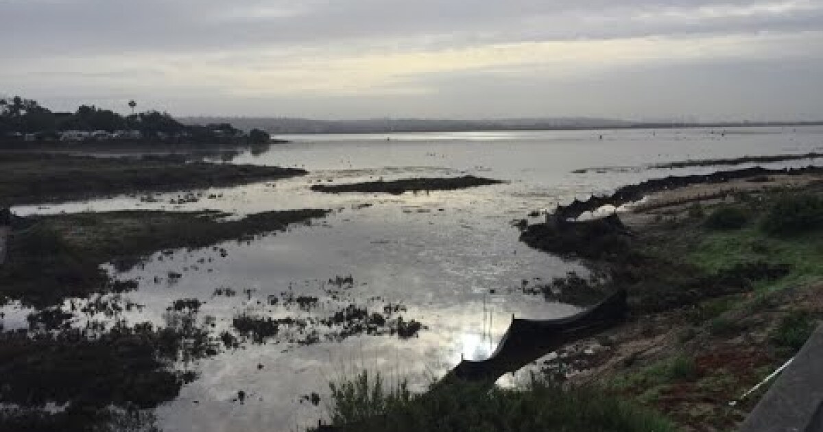 King tides are coming and you can help the state document them