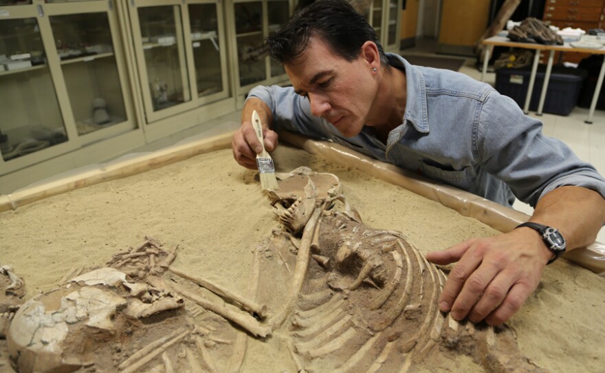 Paul Sereno with the triple burial in the lab.