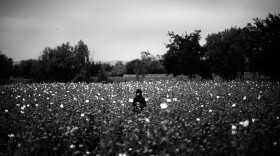 A girl stands in the middle of a poppy field as Marines pass by on patrol.