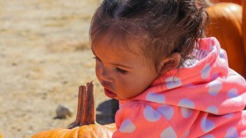 Mission Valley Pumpkin Station
