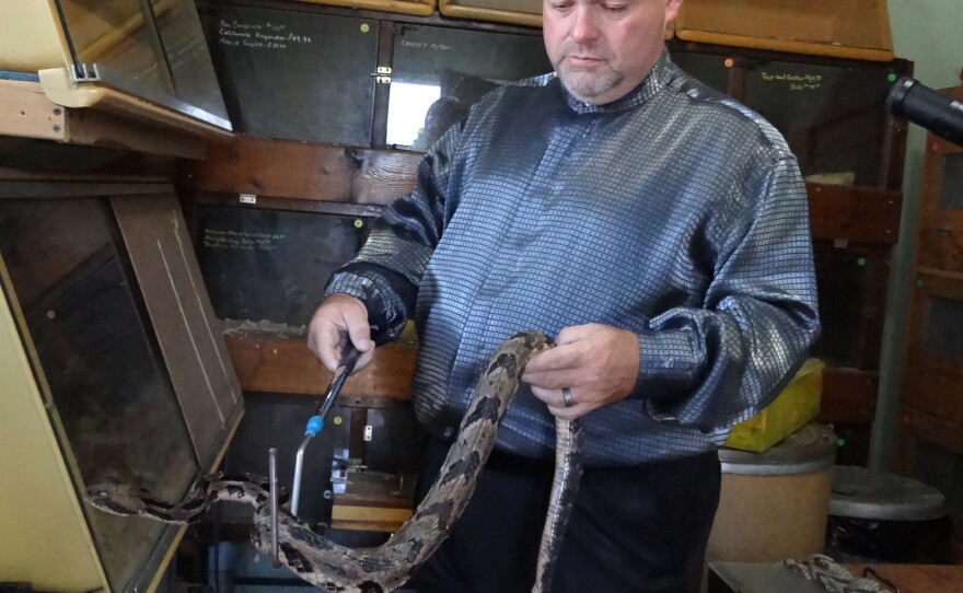 Pastor Jamie Coots in his snake room, Middlesboro, Ky.