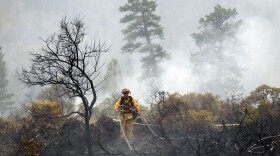 A firefighter douses hot spots left behind by the Eiler fire near Burney in Northern California between the Shasta and Lassen national forests, Aug. 4, 2014. 