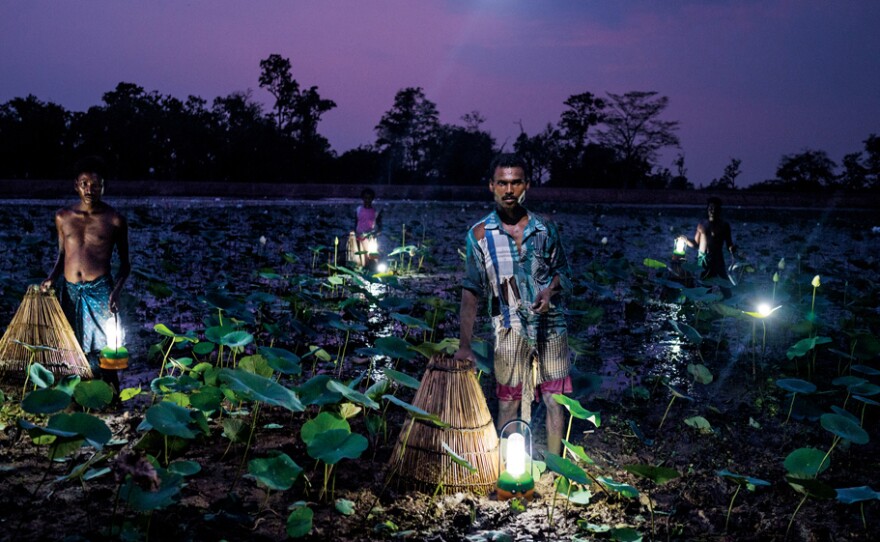 In India's state of Odisha villagers trap fish using cone-shaped baskets and solar light. Fewer than half of Odisha's 42 million residents use grid electricity.