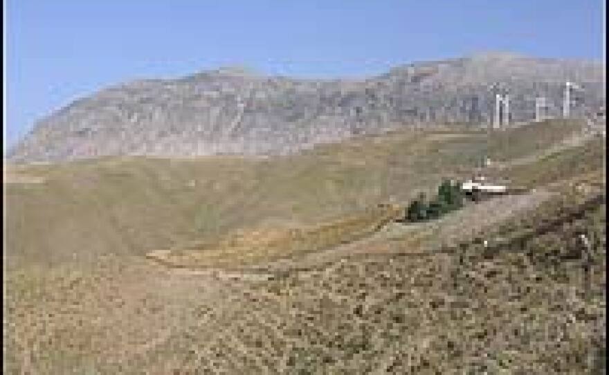 Fifty percent of the land in Crete is at high risk of desertification. These mountainous areas are particularly at risk, because they are overgrazed by sheep and goats.