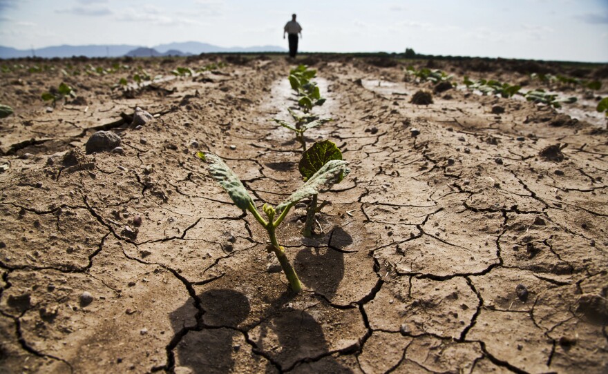 At his 1,400-acre research farm in Wilcox, Az., Howard Buffett is trying to make drought-prone land more productive and then figure out how to get that information to struggling farmers in Africa and elsewhere.