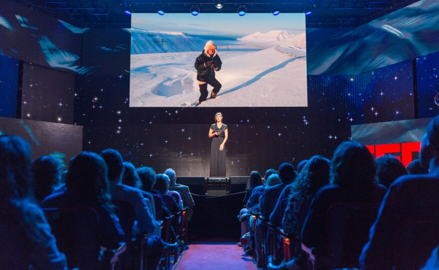 Artist Zaria Forman is one of the featured speakers in TED TALKS “Science And Wonder.”